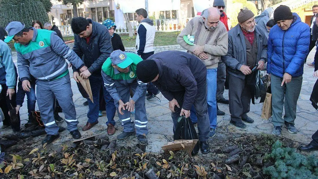 Yeni yıl öncesi Menteşe'de 2019 fidan dağıtıldı