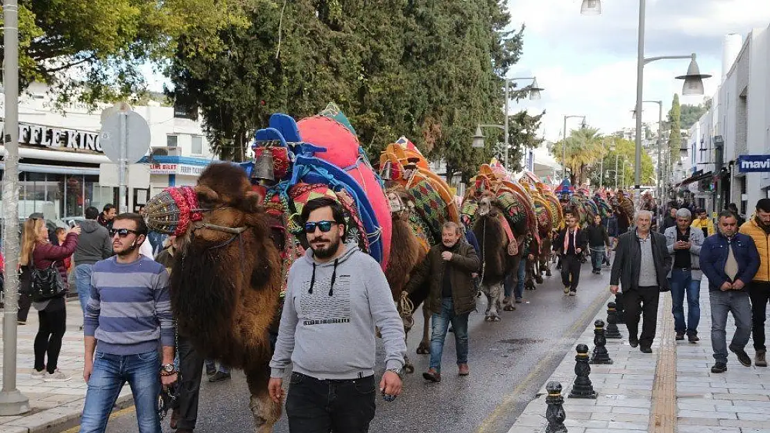 Bodrum Deve Güreşi Festivali kortej yürüyüşü ile başladı