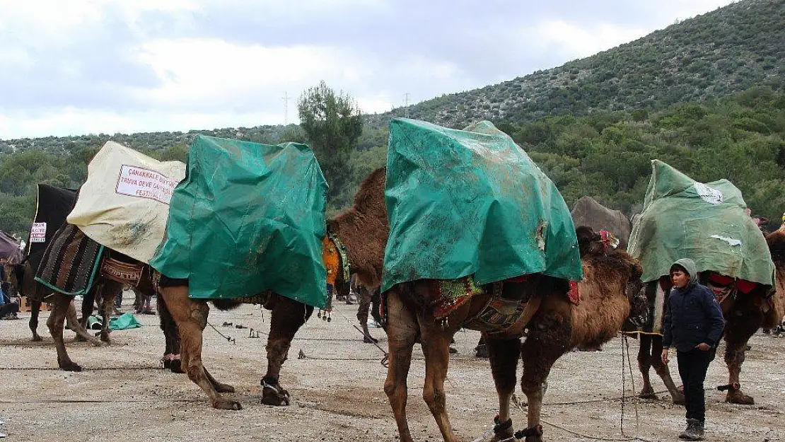 Develere yağmurluk giydirdiler