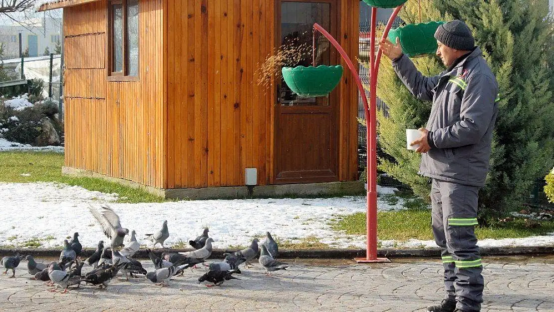 Menteşe'de can dostlar güvende