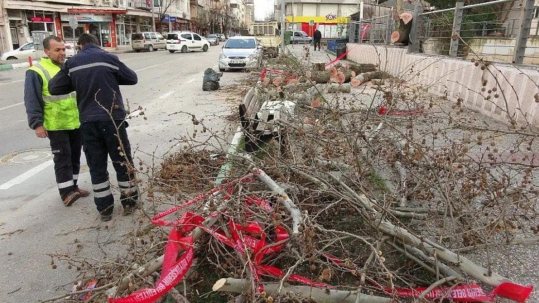 Lodosun şiddeti gün ağarınca ortaya çıktı