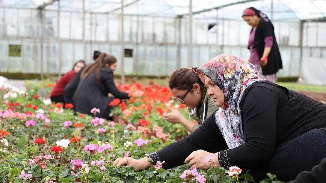 Muğla'da üretiliyor, Ege ve Akdeniz'i süslüyor