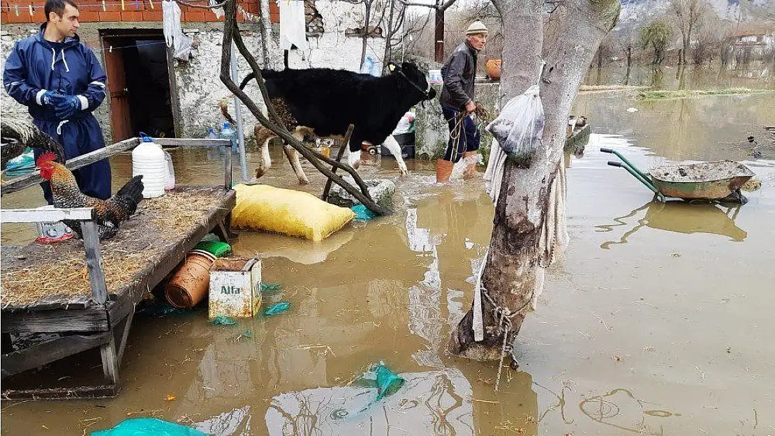 İtfaiyeden koyun-keçi kurtarma operasyonu