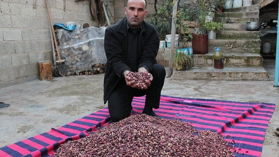 (Özel) Stokçuların fıstık oyunu baklavayı olumsuz etkiliyor