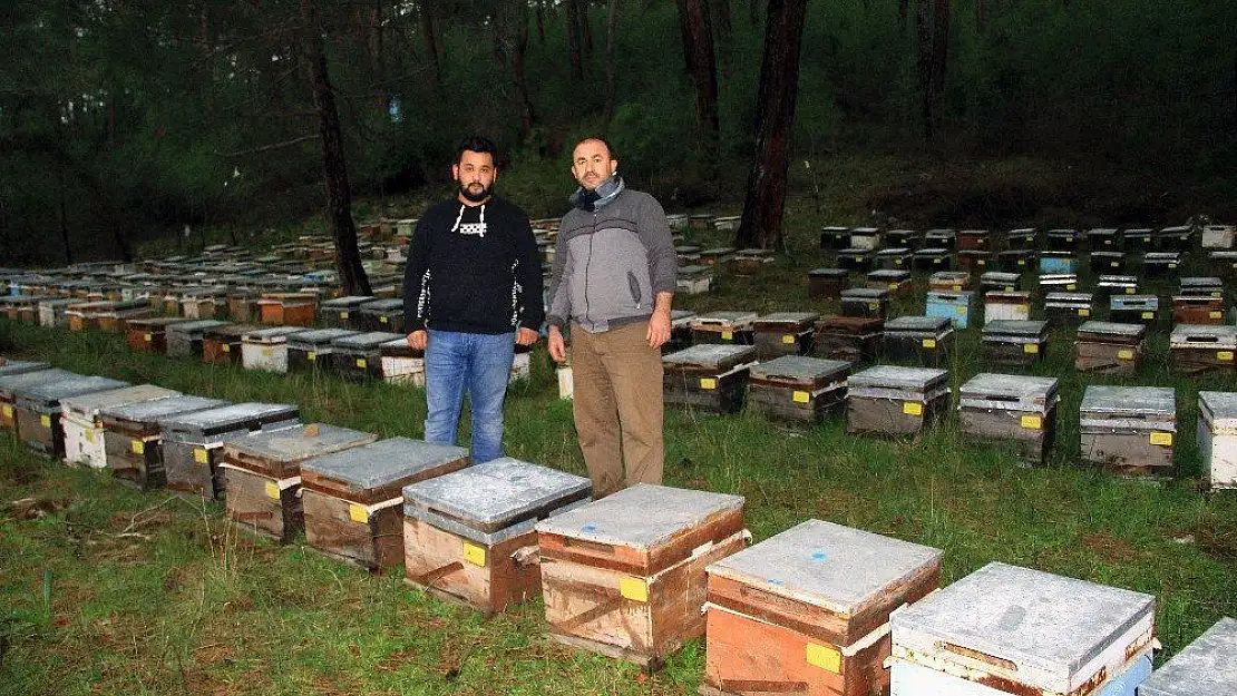 Yağışlar bal üreticisini sevindirdi