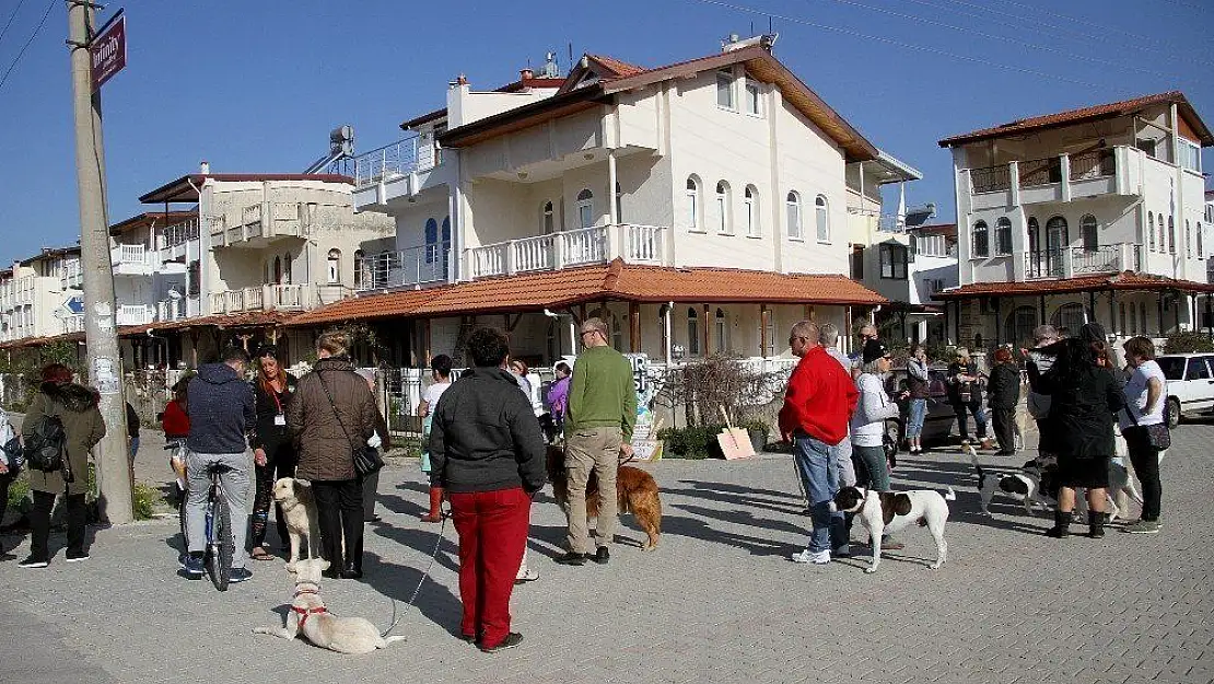 Fethiye'de sokak hayvanlarının zehirlenerek öldürülmesi protesto edildi