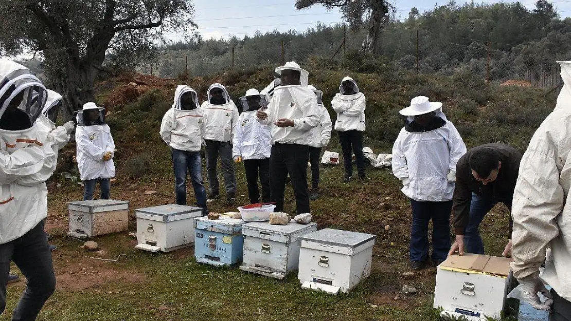 Kovan başı eğitimleri başladı