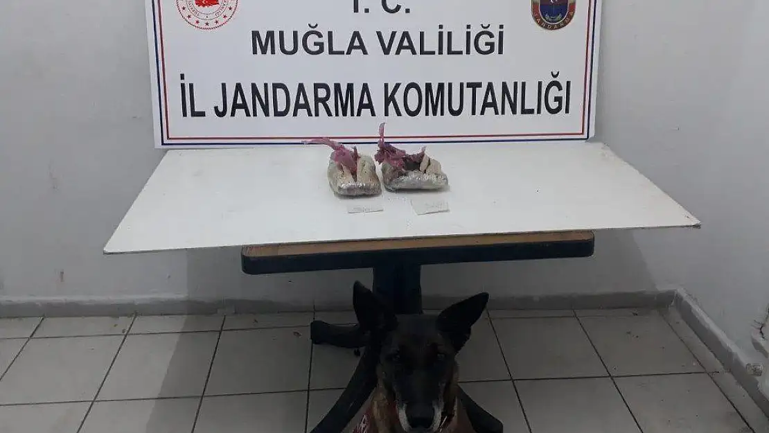 1 kilo esrar Çimen'in dikkatinden kaçmadı