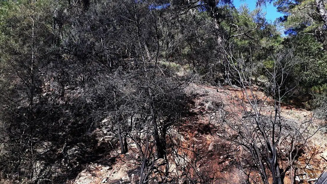 Fethiye'de orman yangını