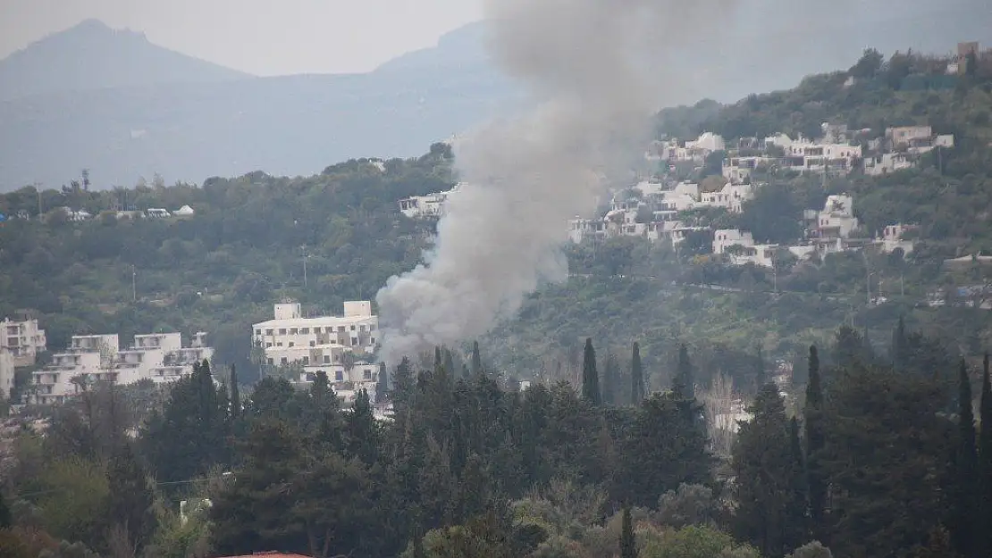 Muğla'da korkutan yangın