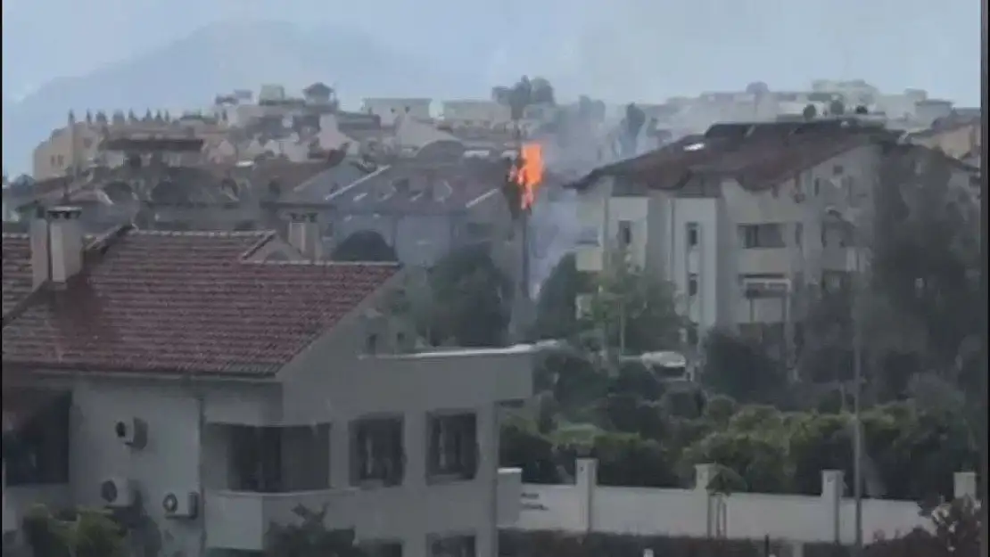 Yıldırım düşen ağaç saniyeler içinde alev topuna döndü