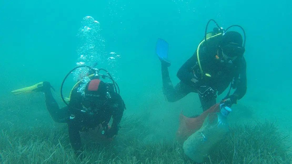 Gölköy'de deniz dibi temizliği