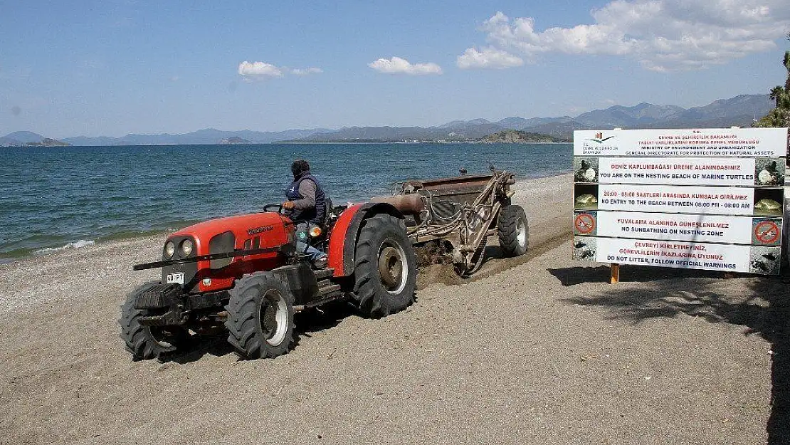 Çalış Plajı caretta carettalar için temizleniyor
