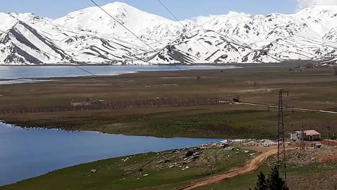 Girdev Gölü'nde binlerce balık telef oldu