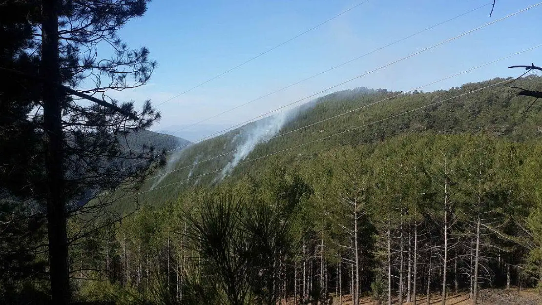 Orman yangını büyümeden söndürüldü
