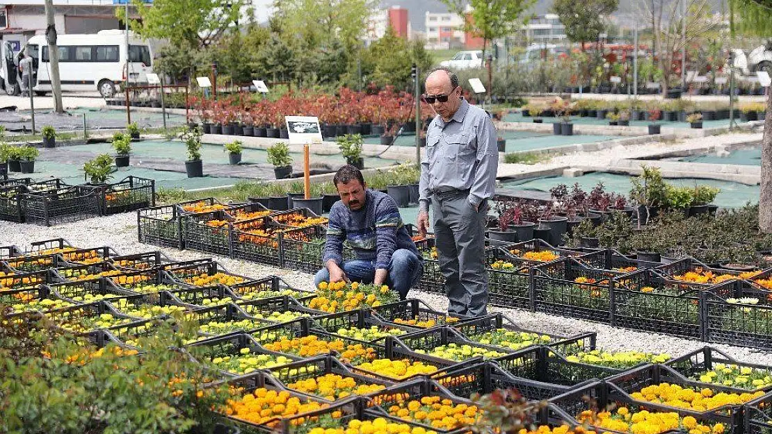 Menteşe Belediyesi'nin Çiçek Bahçesi rengarenk