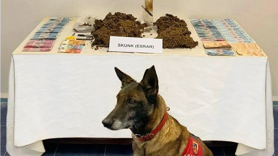 Narkotik Köpek 'Çimen'den kaçış yok