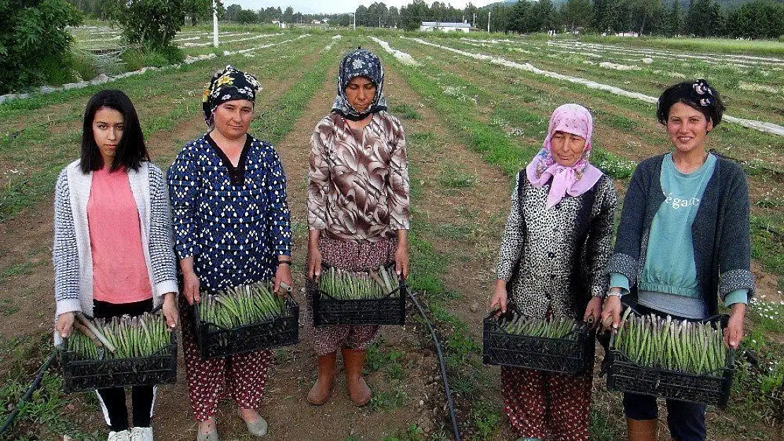 Kuşkonmaz için kariyerini bıraktı, şimdi taleplere yetişemiyor