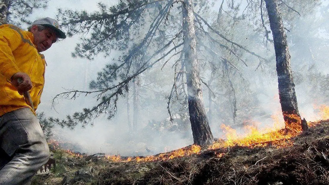 Yangına havadan, karadan müdahale sürüyor