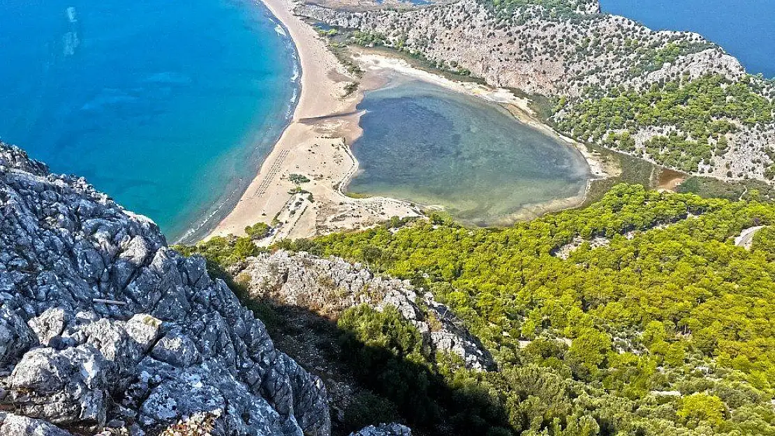 Deniz kaplumbağalarını kurtarma merkezi projesi çevrecileri endişelendirdi