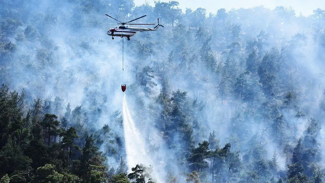 Muğla'da orman yangını