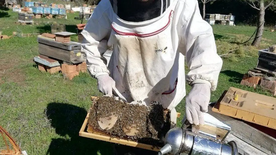 Kristalleşen bal eşittir şekerli bal yargısı yanlıştır