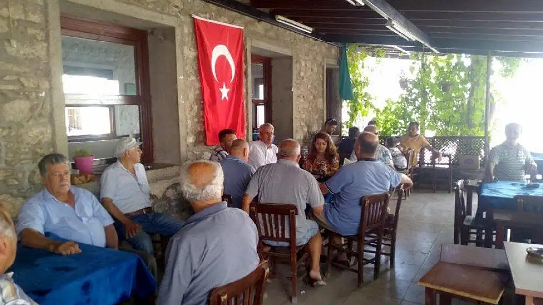 Büyükşehir'den Akdeniz meyve sineği ile mücadele