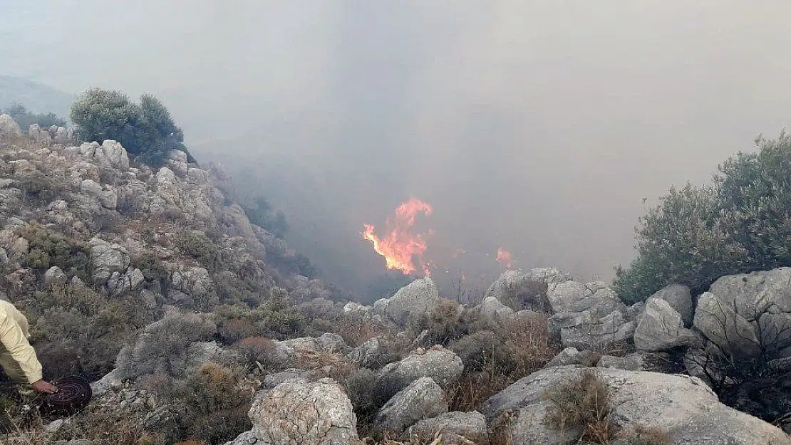 Datça'da 3 kola ayrılan yangın 12 saat sonra kontrol altına alındı