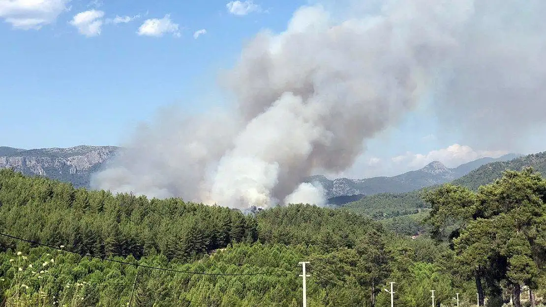 Dalaman'da orman yangını