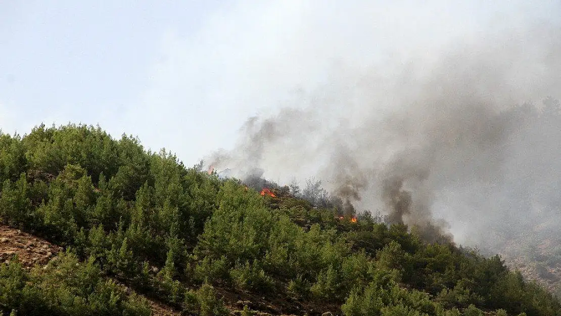 Dalaman'daki yangın yeniden aktif hale geldi