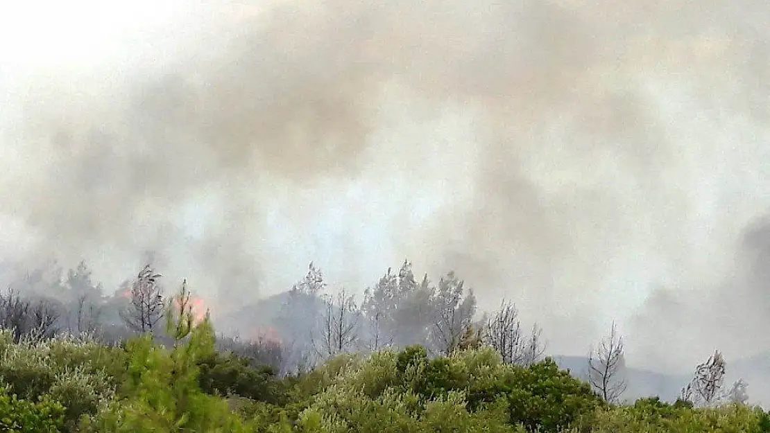 Muğla'daki ikinci yangın evlere ulaşamadan söndürüldü