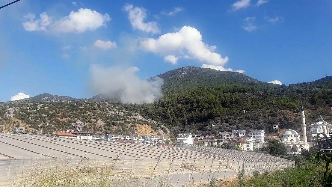 Fethiye'de orman yangını