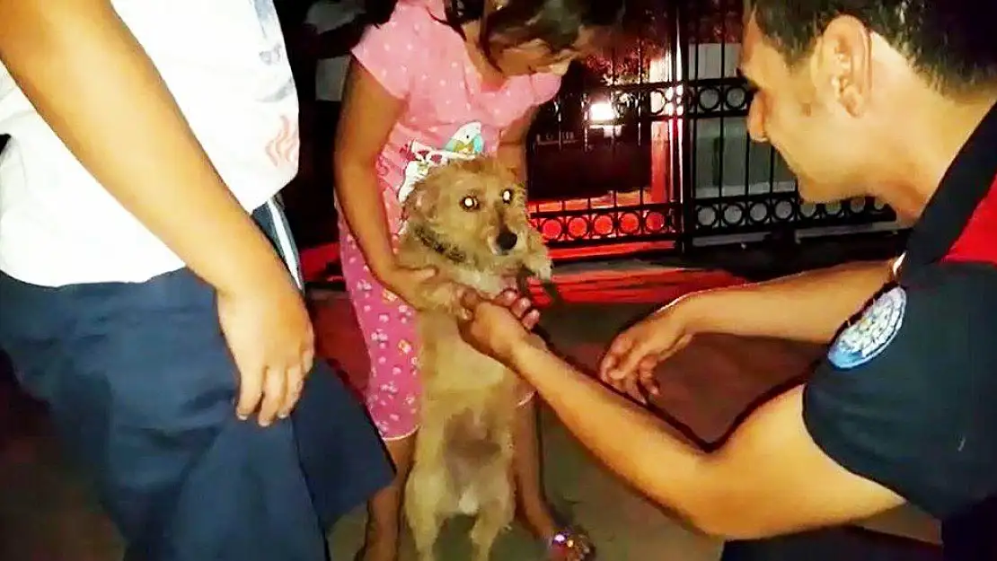 Yavru köpeğin imdadına itfaiye yetişti