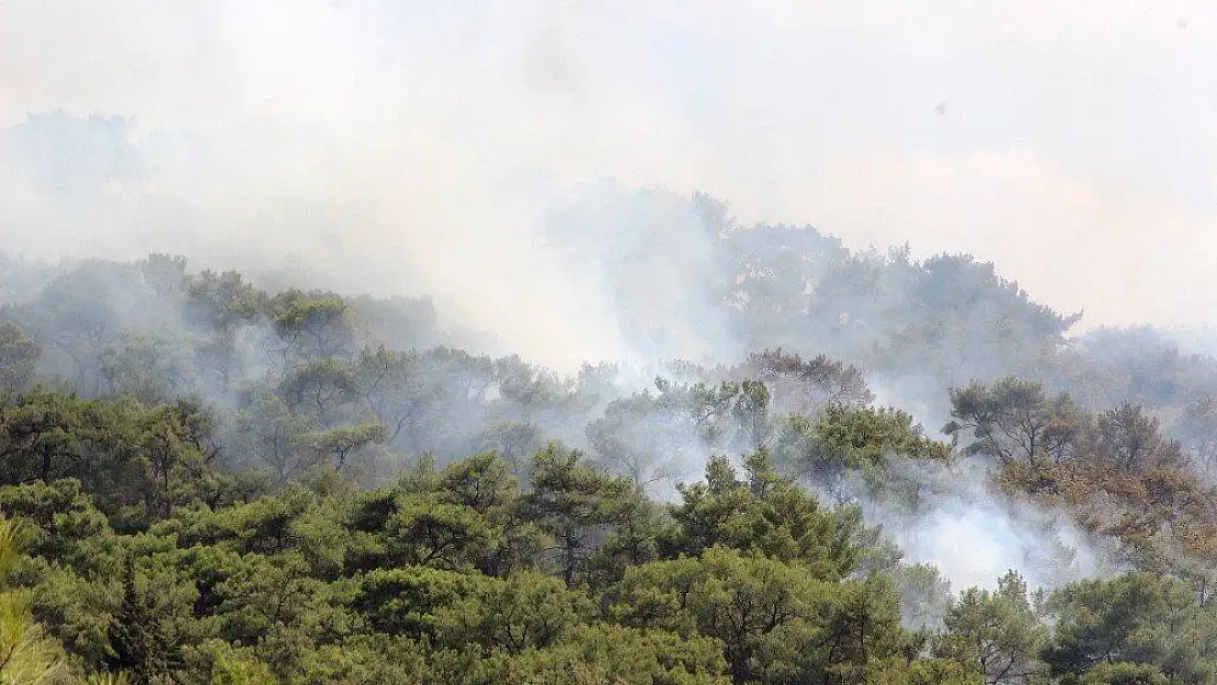 Bodrum'un akciğerleri yanıyor