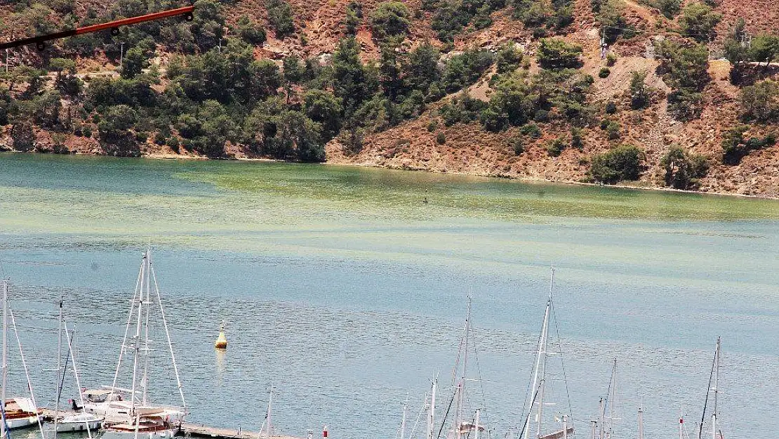 Karaca 'Körfezdeki sorunu el birliğiyle çözmeliyiz'