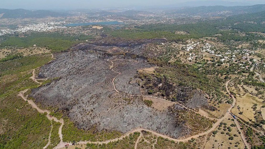 Bodrum'da kömür karasına dönen alanlar drone ile görüntülendi