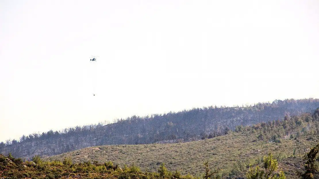 Muğla'daki yangınlarda sabotaj ihtimali