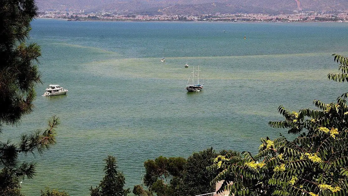 Fethiye Belediye Başkanı Karaca'dan Fethiye Körfezi kirliliği açıklaması