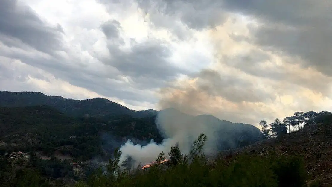 Muğla'da yıldırım yangınları