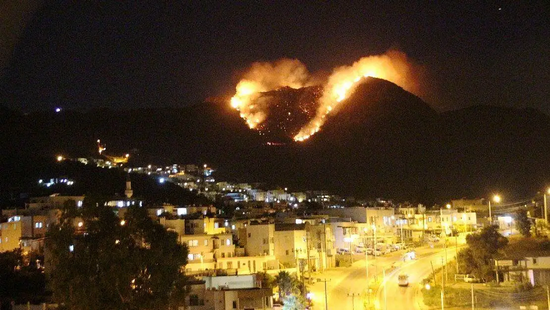 Bodrum'da Makilik alanda korkutan yangın