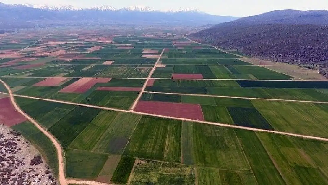 2020 Yılında Muğla'da 4 Bin 415 Hektar arazi toplulaştırıldı