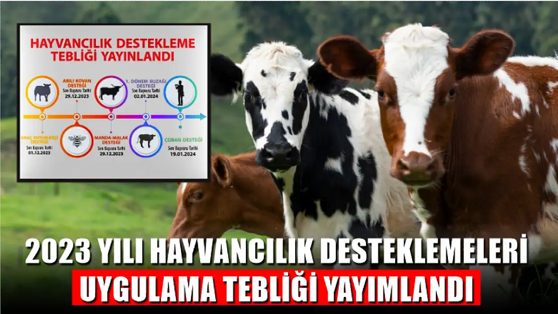 2023 Yılı Hayvancılık Desteklemeleri Uygulama Tebliği Yayımlandı