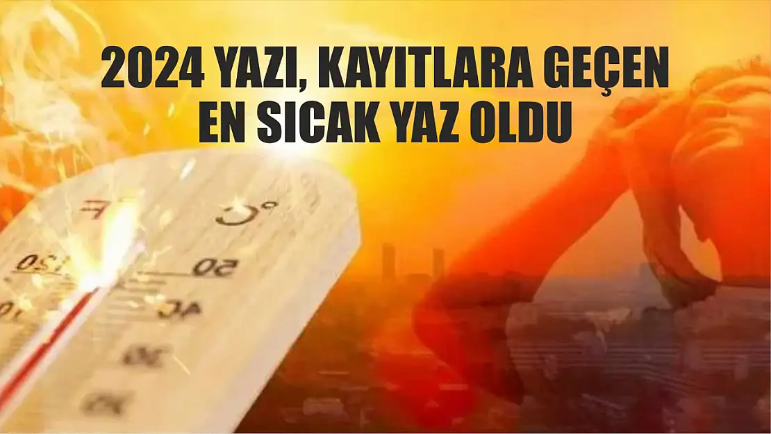 2024 yazı, kayıtlara geçen en sıcak yaz oldu