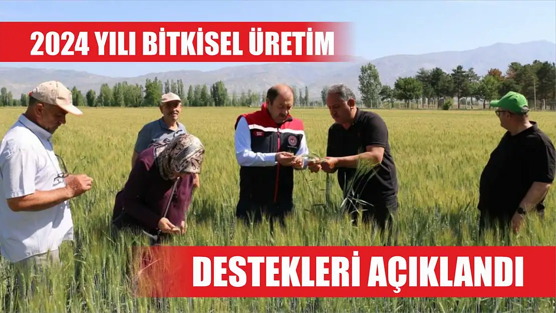 2024 Yılı Bitkisel üretim destekleri açıklandı