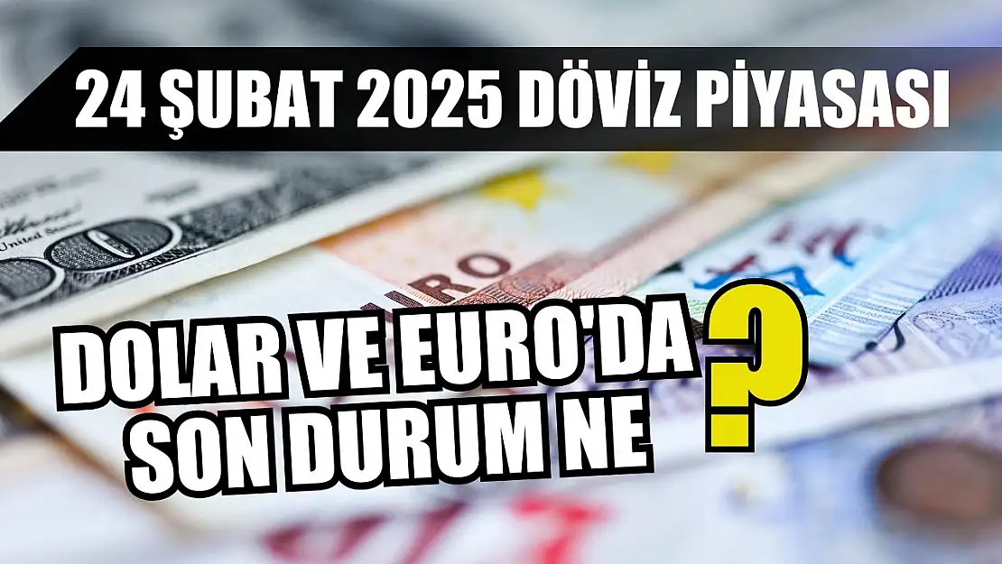 24 Şubat 2025 döviz piyasası: Dolar ve Euro'da son durum ne