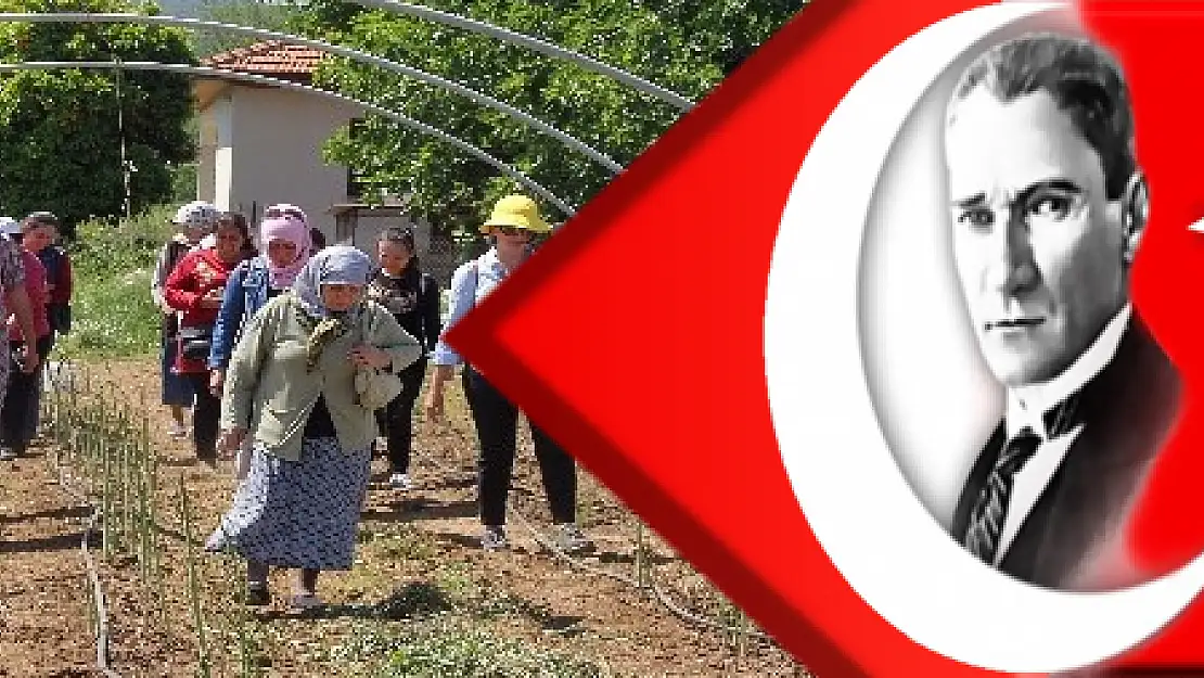 Muğla'nın yenilebilir otları tanıtılıyor