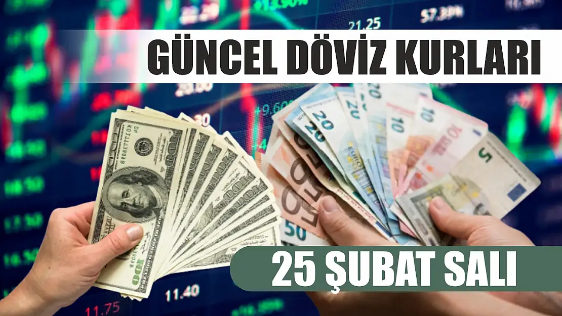 25 Şubat Salı güncel döviz kurları