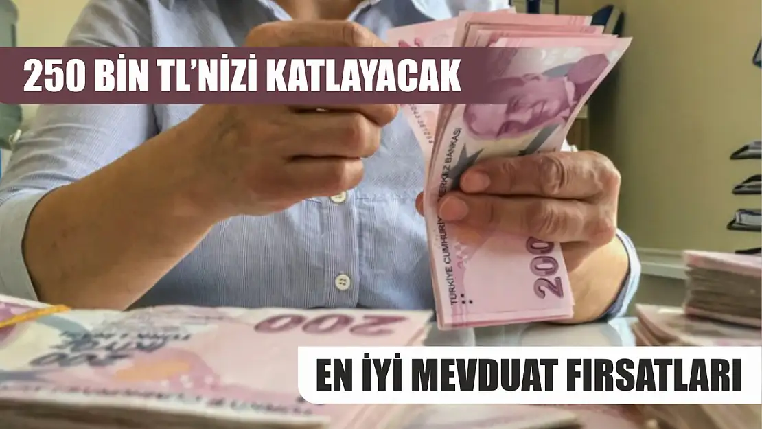 250 Bin TL'nizi Katlayacak En İyi Mevduat Fırsatları