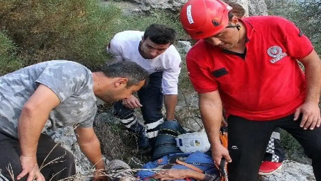 Zeytin ağacından kayalıklara düşen vatandaş 4 saatte kurtarıldı