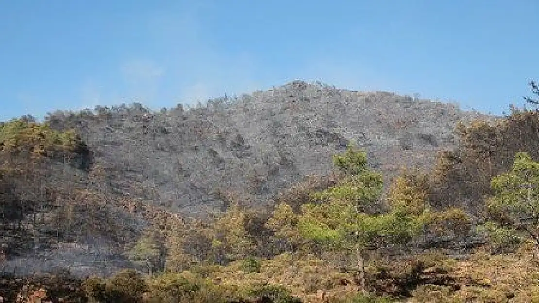 Marmaris'teki orman yangını söndürüldü